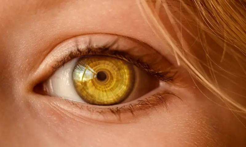 5 Mitos sobre la Visión que Debes Dejar de Creer Hoy